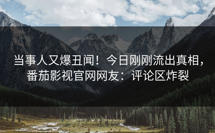 当事人又爆丑闻！今日刚刚流出真相，番茄影视官网网友：评论区炸裂
