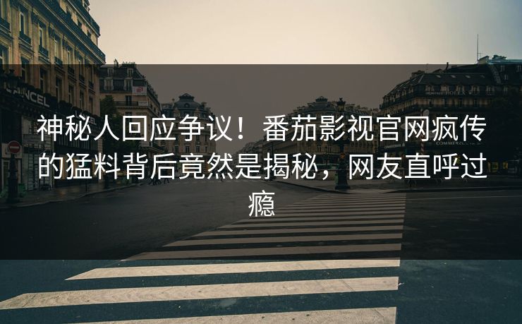 神秘人回应争议！番茄影视官网疯传的猛料背后竟然是揭秘，网友直呼过瘾