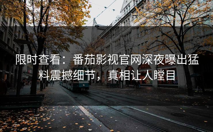 限时查看：番茄影视官网深夜曝出猛料震撼细节，真相让人瞠目