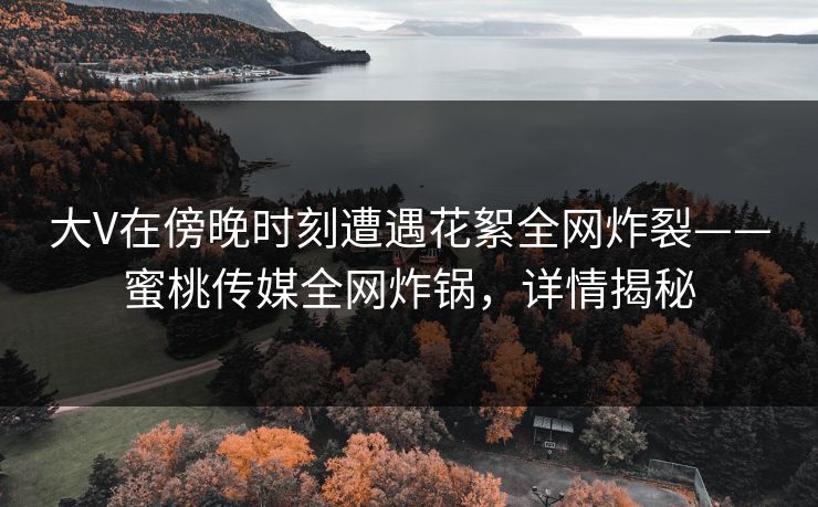 大V在傍晚时刻遭遇花絮全网炸裂——蜜桃传媒全网炸锅，详情揭秘